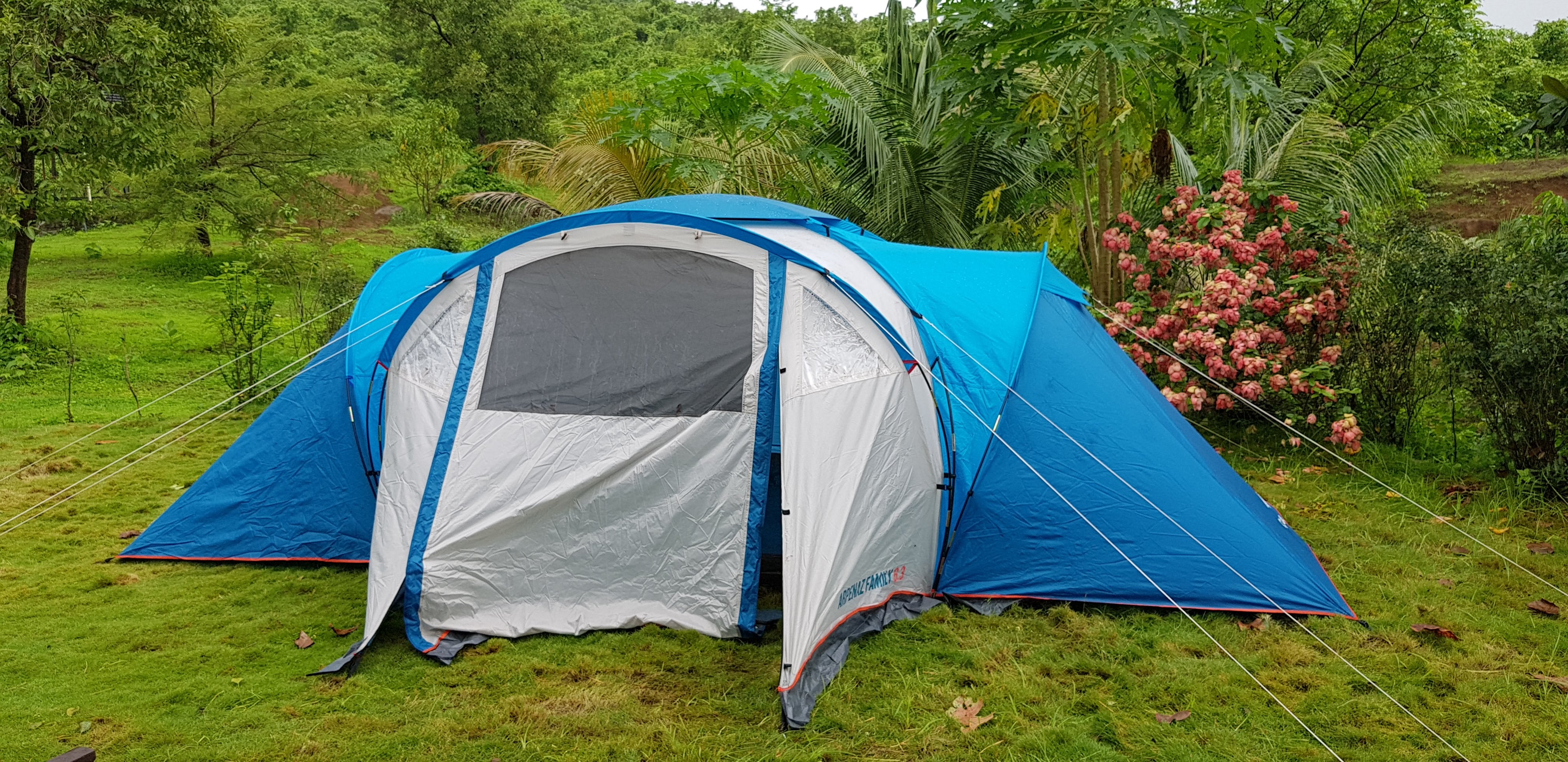 Tent set up amid the green grounds at Breathe Woods